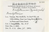 登錄號:B00013263藏品圖，第2張