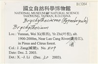 登錄號:B00013264藏品圖，第2張