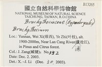 登錄號:B00013265藏品圖，第2張