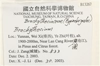 登錄號:B00013267藏品圖，第2張