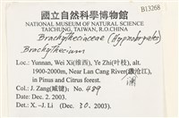 登錄號:B00013268藏品圖，第2張