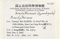 登錄號:B00013269藏品圖，第2張