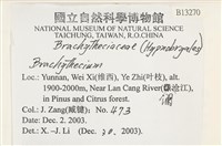 登錄號:B00013270藏品圖，第2張