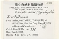 登錄號:B00013272藏品圖，第2張