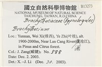 登錄號:B00013273藏品圖，第2張