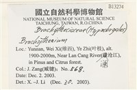 登錄號:B00013274藏品圖，第2張