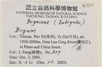 登錄號:B00013275藏品圖，第2張