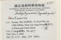 登錄號:B00013277藏品圖，第2張