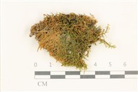 登錄號:B00013277藏品圖，第1張