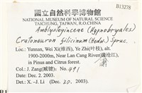 登錄號:B00013278藏品圖，第2張