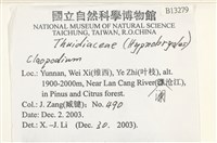 登錄號:B00013279藏品圖，第2張