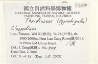 登錄號:B00013280藏品圖，第2張