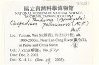 登錄號:B00013281藏品圖，第2張