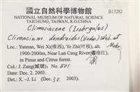 登錄號:B00013282藏品圖，第2張