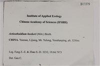 登錄號:B00013379藏品圖，第2張