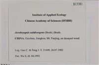 大灰氣蘚藏品圖，第2張