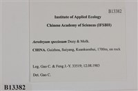 登錄號:B00013382藏品圖，第2張