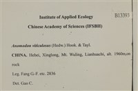 登錄號:B00013393藏品圖，第2張