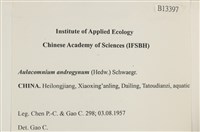 登錄號:B00013397藏品圖，第2張