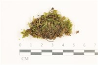 登錄號:B00013398藏品圖，第1張