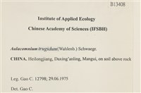 登錄號:B00013408藏品圖，第2張