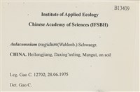 登錄號:B00013409藏品圖，第2張