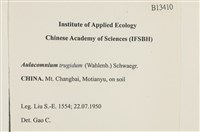 登錄號:B00013410藏品圖，第2張
