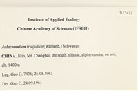 登錄號:B00013411藏品圖，第2張