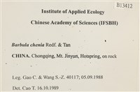 登錄號:B00013412藏品圖，第2張