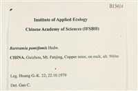 登錄號:B00013414藏品圖，第2張