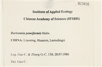 登錄號:B00013416藏品圖，第2張