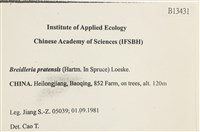 扁灰蘚藏品圖，第2張