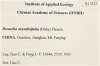 大熱澤蘚藏品圖，第2張