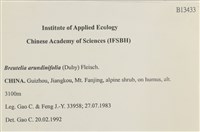 大熱澤蘚藏品圖，第2張