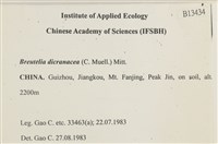 登錄號:B00013434藏品圖，第2張