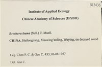 登錄號:B00013436藏品圖，第2張