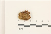 登錄號:B00013436藏品圖，第1張