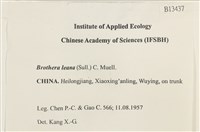 登錄號:B00013437藏品圖，第2張