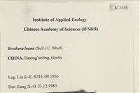 登錄號:B00013438藏品圖，第2張