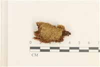 登錄號:B00013438藏品圖，第1張