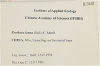 登錄號:B00013440藏品圖，第2張