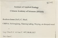 登錄號:B00013441藏品圖，第2張