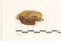 登錄號:B00013441藏品圖，第1張