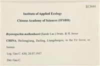 毛羽蘚藏品圖，第2張