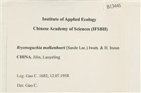 毛羽蘚藏品圖，第2張
