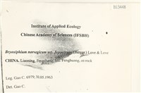 登錄號:B00013448藏品圖，第2張