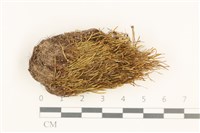 登錄號:B00013448藏品圖，第1張