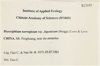 登錄號:B00013449藏品圖，第2張