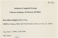 登錄號:B00013451藏品圖，第2張