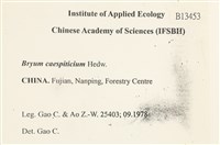 叢生真蘚藏品圖，第2張